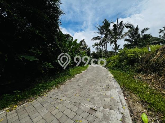 Lahan Dijual Lokasi Ubud, Gianyar dengan Luas Tanah 955m2 dan Status - Lahan Dijual Lokasi Ubud, Gianyar dengan Luas Tanah 955m2 dan Status -