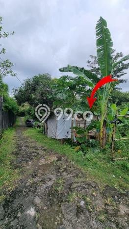 Kavling Tanah Dijual di Kuta Selatan Badung Spesifikasi 1000m2 Kavling Tanah Dijual di Kuta Selatan Badung Spesifikasi 1000m2