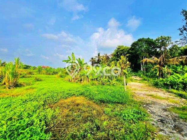 Tanah Dijual Lokasi Kediri, Tabanan dengan Luas Tanah 1060m2 dan Status - Tanah Dijual Lokasi Kediri, Tabanan dengan Luas Tanah 1060m2 dan Status -