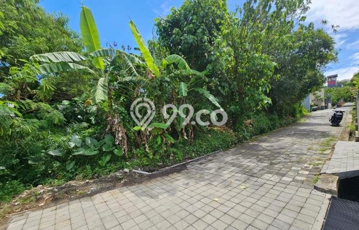 Tanah Kavling Dijual di Badung dengan Spesifikasi 525m2 Tanah Kavling Dijual di Badung dengan Spesifikasi 525m2