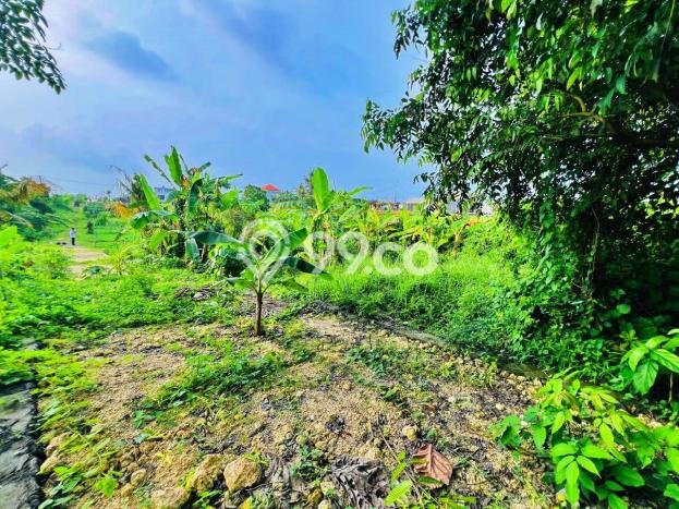 Tanah Dijual Lokasi Kediri, Tabanan dengan Luas Tanah 1060m2 dan Status - Tanah Dijual Lokasi Kediri, Tabanan dengan Luas Tanah 1060m2 dan Status -