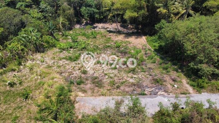 Kavling Tanah Dijual di Kediri Tabanan Spesifikasi 2043m2 Kavling Tanah Dijual di Kediri Tabanan Spesifikasi 2043m2