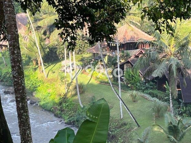 Untuk Dijual Tanah di Ubud Gianyar Luas 8000m2 SHM Untuk Dijual Tanah di Ubud Gianyar Luas 8000m2 SHM