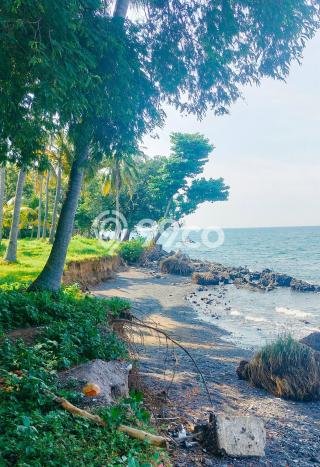 Lahan untuk Dijual Lokasi Buleleng, Buleleng Luas 8600m2 - Lahan untuk Dijual Lokasi Buleleng, Buleleng Luas 8600m2 -
