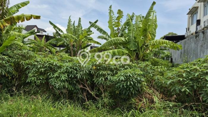 Tanah Kavling Dijual di Denpasar dengan Spesifikasi 460m2 Tanah Kavling Dijual di Denpasar dengan Spesifikasi 460m2