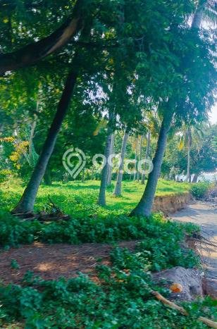 Lahan untuk Dijual Lokasi Buleleng, Buleleng Luas 8600m2 - Lahan untuk Dijual Lokasi Buleleng, Buleleng Luas 8600m2 -