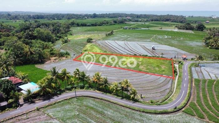Tanah Dijual Area Strategis di Beraban Tabanan 2330m2 Tanah Dijual Area Strategis di Beraban Tabanan 2330m2
