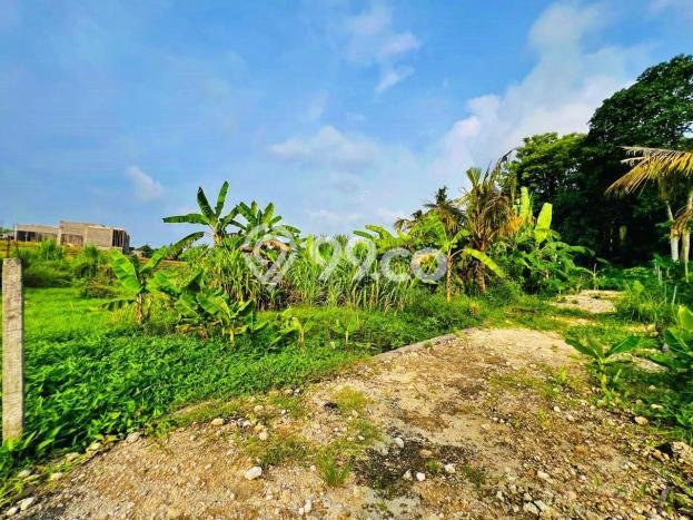 Tanah Dijual Lokasi Kediri, Tabanan dengan Luas Tanah 1060m2 dan Status - Tanah Dijual Lokasi Kediri, Tabanan dengan Luas Tanah 1060m2 dan Status -