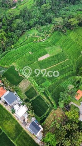 Vila Premium di Ubud, Area 248m2m², Lokasi Premium dengan akses bagus Vila Premium di Ubud, Area 248m2m², Lokasi Premium dengan akses bagus