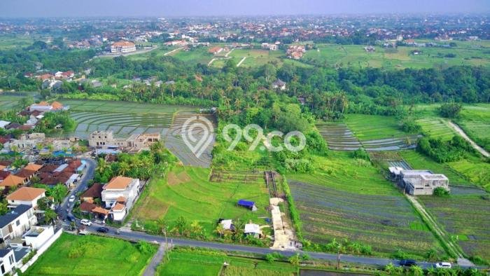 Tanah Dijual Lokasi Kediri, Tabanan dengan Luas Tanah 1060m2 dan Status - Tanah Dijual Lokasi Kediri, Tabanan dengan Luas Tanah 1060m2 dan Status -