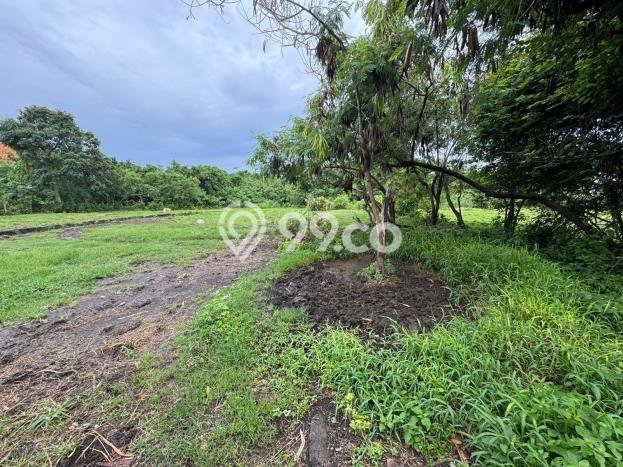 Kavling Tanah Dijual di Kediri Tabanan Spesifikasi 2265m2 Kavling Tanah Dijual di Kediri Tabanan Spesifikasi 2265m2