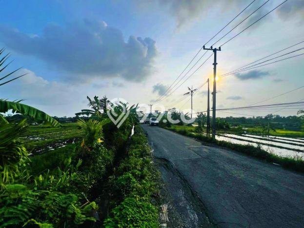 Tanah Dijual Lokasi Kediri, Tabanan dengan Luas Tanah 1060m2 dan Status - Tanah Dijual Lokasi Kediri, Tabanan dengan Luas Tanah 1060m2 dan Status -