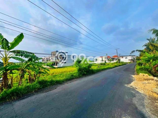 Tanah Dijual Lokasi Kediri, Tabanan dengan Luas Tanah 1060m2 dan Status - Tanah Dijual Lokasi Kediri, Tabanan dengan Luas Tanah 1060m2 dan Status -
