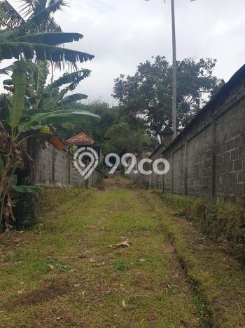 Untuk Dijual Tanah di Ubud Gianyar Luas 8000m2 SHM Untuk Dijual Tanah di Ubud Gianyar Luas 8000m2 SHM