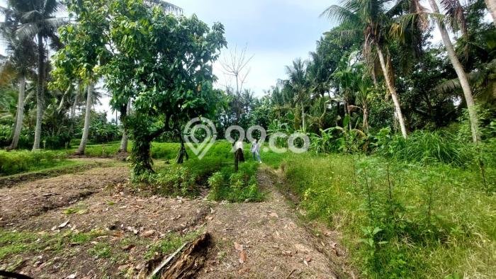 Tanah Dijual di Tabanan Seluas 3200m2 Strategis Tanah Dijual di Tabanan Seluas 3200m2 Strategis