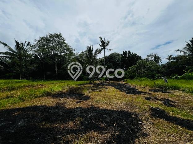 Lahan Dijual Lokasi Ubud, Gianyar dengan Luas Tanah 955m2 dan Status - Lahan Dijual Lokasi Ubud, Gianyar dengan Luas Tanah 955m2 dan Status -