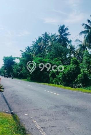 Lahan untuk Dijual Lokasi Buleleng, Buleleng Luas 8600m2 - Lahan untuk Dijual Lokasi Buleleng, Buleleng Luas 8600m2 -