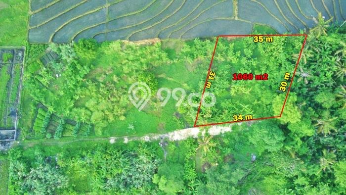Tanah Dijual Lokasi Kediri, Tabanan dengan Luas Tanah 1060m2 dan Status - Tanah Dijual Lokasi Kediri, Tabanan dengan Luas Tanah 1060m2 dan Status -