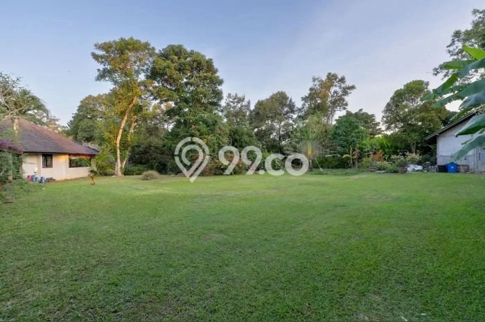FOR SALE! Vila Kawasan , Luas 9050m2m², Lokasi Strategis FOR SALE! Vila Kawasan , Luas 9050m2m², Lokasi Strategis
