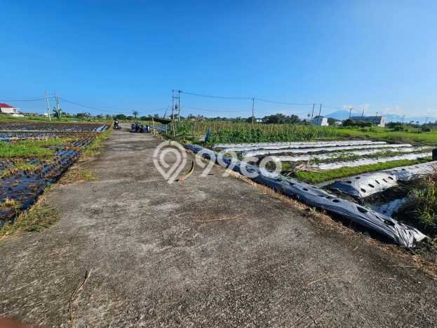 Tanah Dijual Lokasi Tabanan, Tabanan Luas 500m2 Legalitas Aman Tanah Dijual Lokasi Tabanan, Tabanan Luas 500m2 Legalitas Aman