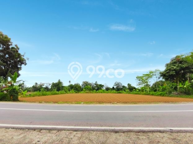 Tanah Dijual di Yogyakarta Seluas 176m2 Strategis Tanah Dijual di Yogyakarta Seluas 176m2 Strategis