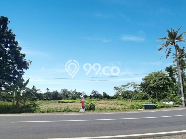 Tanah Dijual di Yogyakarta Seluas 176m2 Strategis Tanah Dijual di Yogyakarta Seluas 176m2 Strategis