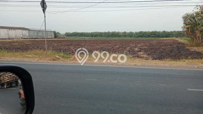 Tanah Dijual Lokasi Kabuh Jombang - Tanah Dijual Lokasi Kabuh Jombang -