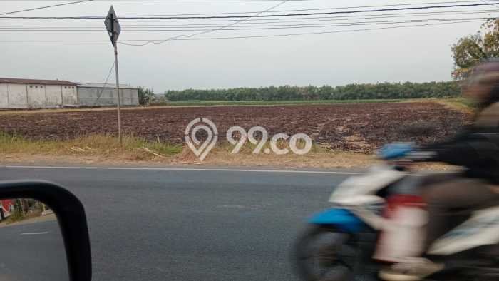 Tanah Dijual Lokasi Kabuh Jombang - Tanah Dijual Lokasi Kabuh Jombang -