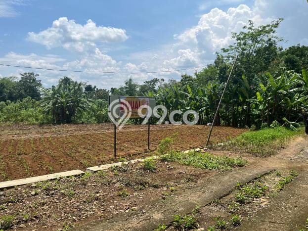 Lahan untuk Dijual Lokasi Mojogedang, Karanganyar Luas 3000m2 SHM Lahan untuk Dijual Lokasi Mojogedang, Karanganyar Luas 3000m2 SHM