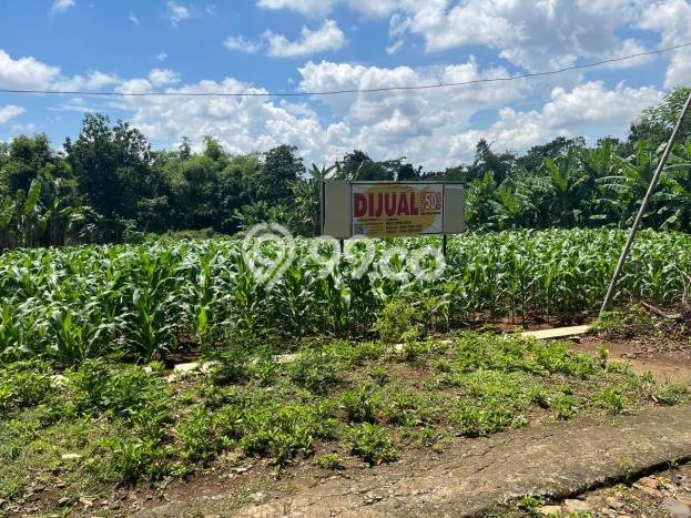 Lahan untuk Dijual Lokasi Mojogedang, Karanganyar Luas 3000m2 SHM Lahan untuk Dijual Lokasi Mojogedang, Karanganyar Luas 3000m2 SHM