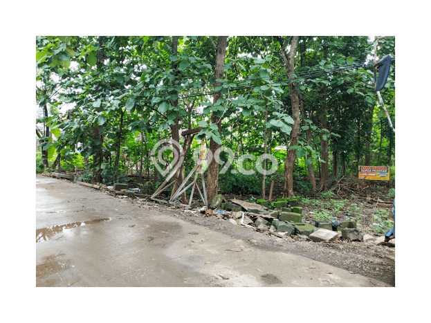 Untuk Dijual Tanah di Tembalang Semarang Luas 1390m2 SHM Untuk Dijual Tanah di Tembalang Semarang Luas 1390m2 SHM