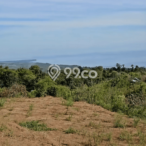 Tanah Strategis Dijual di Buleleng Buleleng 25600m2 Tanah Strategis Dijual di Buleleng Buleleng 25600m2