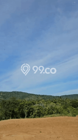 Tanah Strategis Dijual di Buleleng Buleleng 25600m2 Tanah Strategis Dijual di Buleleng Buleleng 25600m2