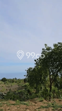 Tanah Strategis Dijual di Buleleng Buleleng 25600m2 Tanah Strategis Dijual di Buleleng Buleleng 25600m2