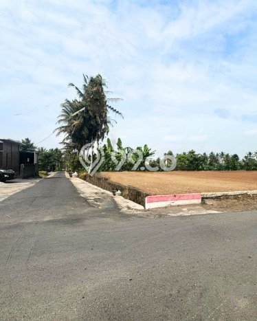 Untuk Dijual Tanah 231m2 di Sleman, Yogyakarta Untuk Dijual Tanah 231m2 di Sleman, Yogyakarta
