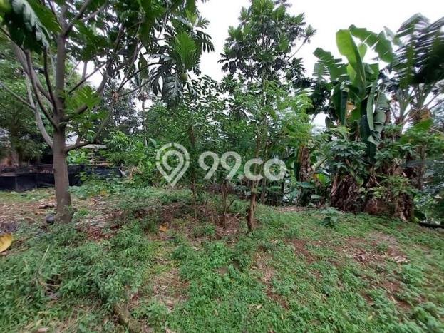 Tanah untuk Dijual di Jagakarsa Jakarta Selatan Luas 3235m2 Tanah untuk Dijual di Jagakarsa Jakarta Selatan Luas 3235m2