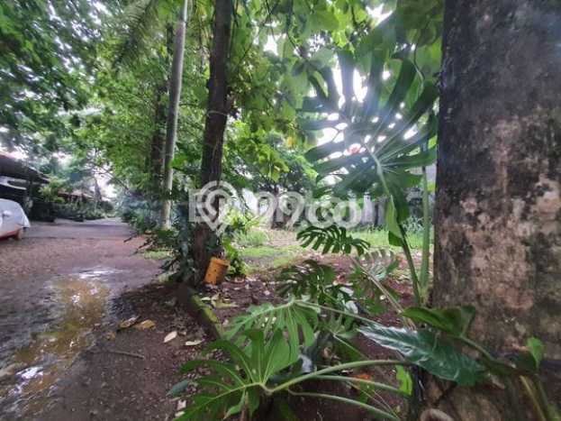 Kavling Tanah Dijual di Ciputat, Tangerang Selatan, Luas 257m2 Area Strategis Kavling Tanah Dijual di Ciputat, Tangerang Selatan, Luas 257m2 Area Strategis
