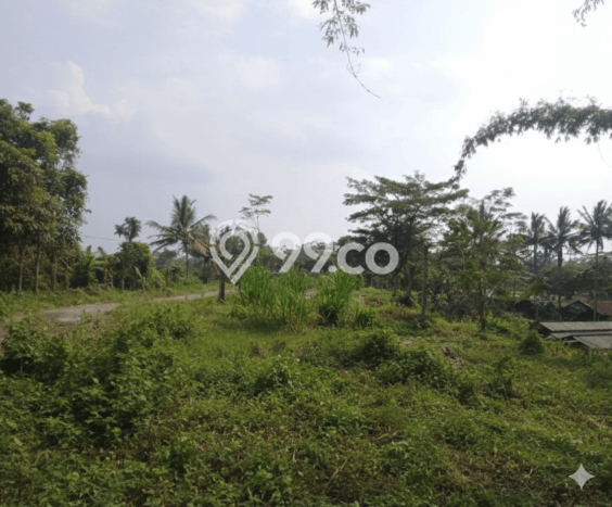 Lahan Investasi Lokasi Srumbung Magelang SHM Lahan Investasi Lokasi Srumbung Magelang SHM