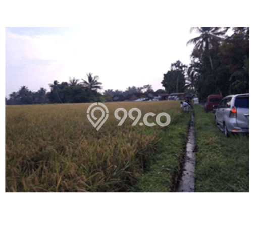 Jarang Ada! Tanah di Sawangan Punya Luas 9990m2 SHM Jarang Ada! Tanah di Sawangan Punya Luas 9990m2 SHM
