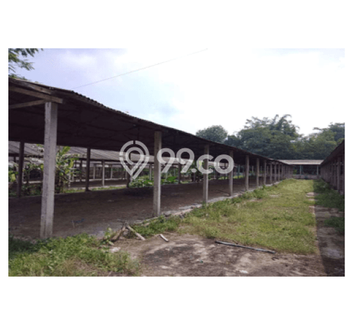 Komersial Dijual di Srumbung Magelang dengan LB 2850m2 Komersial Dijual di Srumbung Magelang dengan LB 2850m2