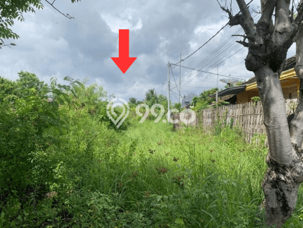 Lahan Strategis di Banyuwangi Dijual dengan Luas 4824m2 Lahan Strategis di Banyuwangi Dijual dengan Luas 4824m2