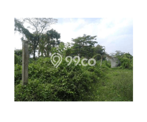 Lahan Investasi Lokasi Srumbung Magelang SHM Lahan Investasi Lokasi Srumbung Magelang SHM