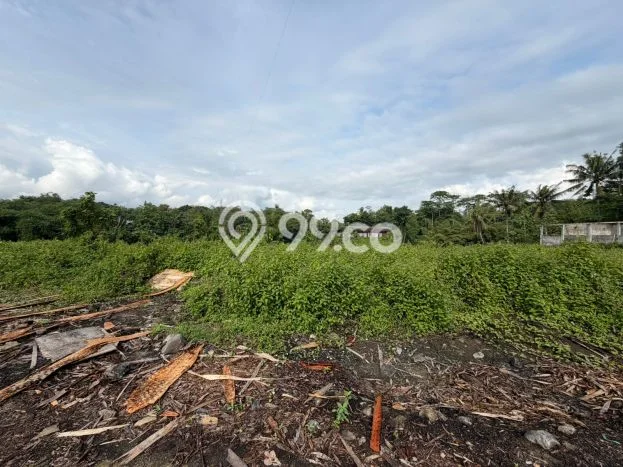 Tanah Dijual Lokasi Tempuran, Magelang dengan Luas Tanah 34730m2 dan Status SHM Tanah Dijual Lokasi Tempuran, Magelang dengan Luas Tanah 34730m2 dan Status SHM
