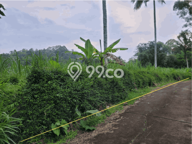 Tanah untuk Dijual Lokasi Gedangan, Malang Luas 7505m2 SHM Tanah untuk Dijual Lokasi Gedangan, Malang Luas 7505m2 SHM
