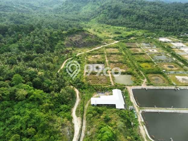 Tanah Kavling untuk Dijual di Punduh Pidada Pesawaran 265349m2 Tanah Kavling untuk Dijual di Punduh Pidada Pesawaran 265349m2