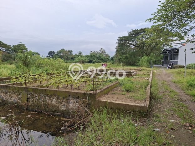 Lahan Investasi Lokasi Mundu Cirebon SHM Lahan Investasi Lokasi Mundu Cirebon SHM