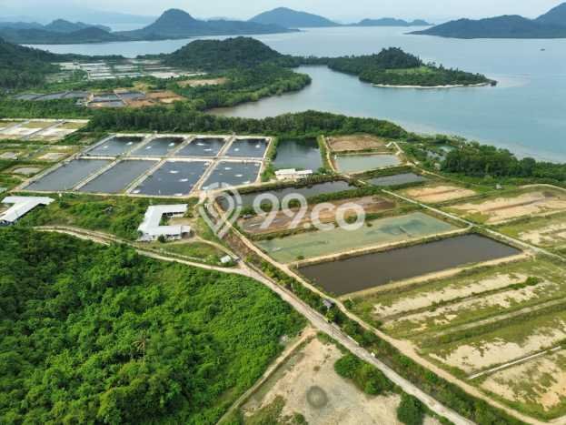 Tanah Kavling untuk Dijual di Punduh Pidada Pesawaran 265349m2 Tanah Kavling untuk Dijual di Punduh Pidada Pesawaran 265349m2