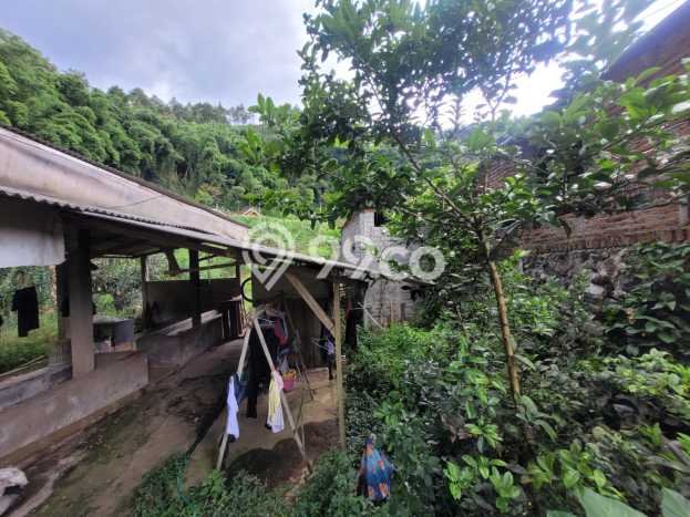 Tanah Kavling untuk Dijual di Bumiaji Batu 184m2 Tanah Kavling untuk Dijual di Bumiaji Batu 184m2