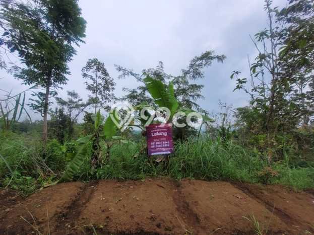 Lahan untuk Dijual di Junrejo Batu Luas 1565m2 Lahan untuk Dijual di Junrejo Batu Luas 1565m2
