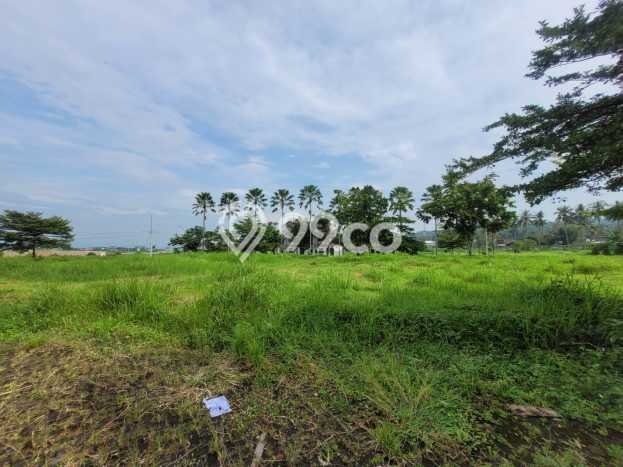 Dijual Tanah Lokasi Tlogowaru, Malang Seluas 8393m2 Dijual Tanah Lokasi Tlogowaru, Malang Seluas 8393m2